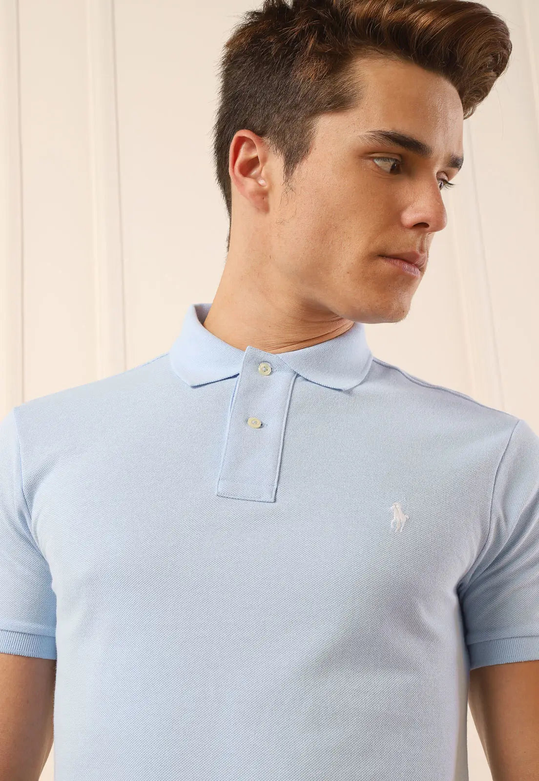 Pague 1 Leve 2 | Camisa Polo Ralph Lauren